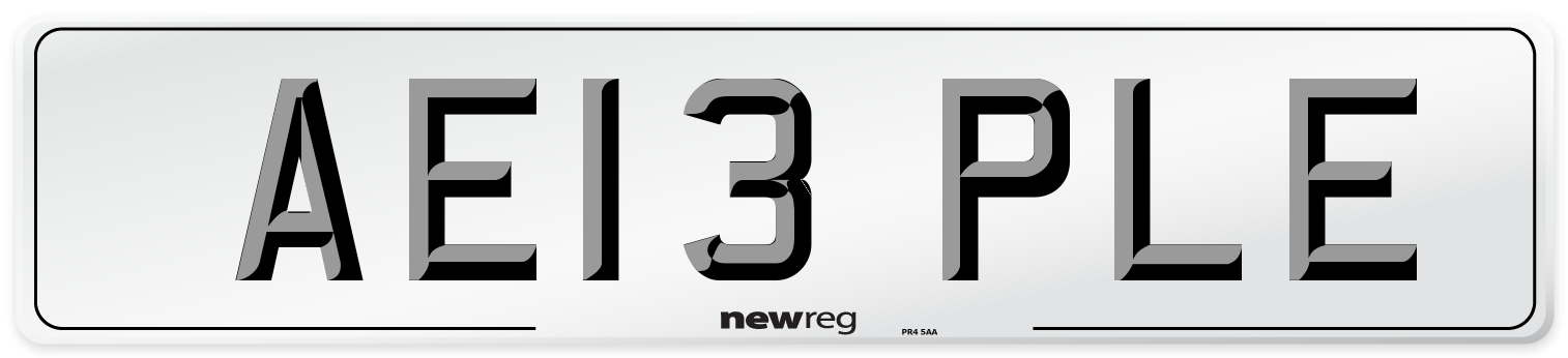 AE13 PLE Number Plate from New Reg